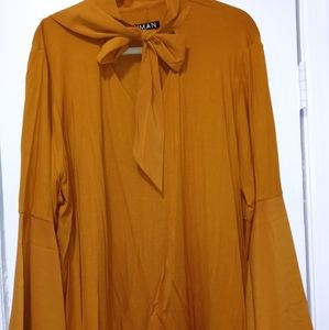 Sheer Long Sleeve Blouse